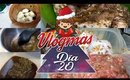 Sazonando la carne de navidad- Vlogmas 2017 DIA 20 | Kittypinky