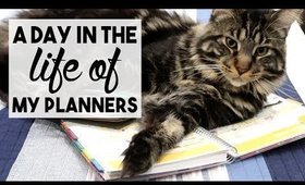 A Day in the Life of My Planners