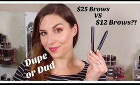 Dupe or Dud: $25 vs $12 Brow Sculpt & Set  | Bailey B.