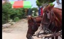 Welcome To Tunisia Vlog | El Mouradi Palm Marina | Port El Kantuai