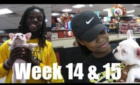 Vlog: Breakfast & Puppies| Week 14 & 15