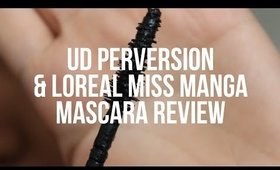 2 in 1 review | UD Perversion & L'Oreal Miss Manga Mascara + Demo