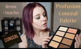 Profusion Conceal Palette Review + Swatches