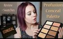 Profusion Conceal Palette Review + Swatches