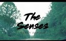 THE SENSES | FANCY IN FOUR