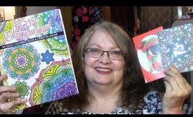 A Dollar Tree, Amazon & Walmart Haul!