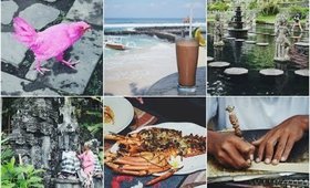 Bali Vlog: Traditional Village, Snorkeling, Stone Hopping & Easting Lobster