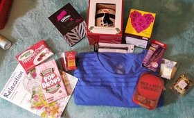 Shopko After Christmas Haul