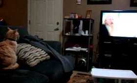 Sampson watching tv