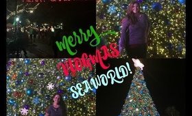 VLOGMAS! Day 12 | SeaWorld Christmas Celebration!