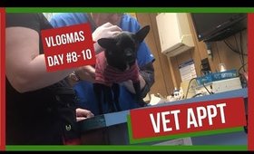 🎄Vlogmas Days 8-10 | Batman goes to the Vet!!  🎄Tommie Marie