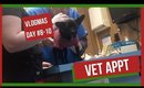 🎄Vlogmas Days 8-10 | Batman goes to the Vet!!  🎄Tommie Marie