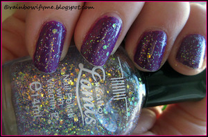 This cheap Lamis glitter is really cool on other polishes, to shine them up a bit. I've written more about it on my blog, here:
http://rainbowifyme.blogspot.com/2011/10/lamis-glitter.html