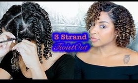 How To: 3 Strand Twistout #naturalhair | BeautyByLee