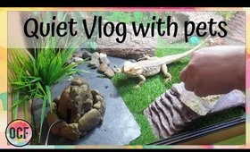 Quiet lazy day vlog with pets, penpalling and journalling (homebody)