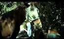 Horse Therapy: Featuring Douglas and Wishful