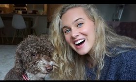 MY DOG PICKS MY HAIR PRODUCTS ?! ( yes... really)