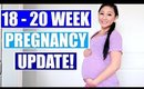 18 - 20 WEEK PREGNANCY UPDATE: GENDER REVEAL, PREGNANCY BACK PAIN