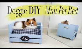 DIY Mini Dog / Cat Bed | Super EASY | ANNEORSHINE