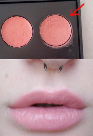 The nude lipstick I have used is from the Coastal Scents 32 lip palette.