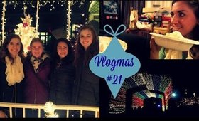 CHRISTMAS LIGHTS & ICE CREAM (Vlogmas #21)