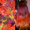 Fall Fiery Red Ombre
