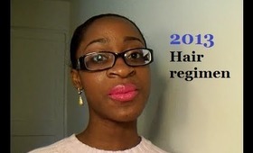 2013 Hair Regimen