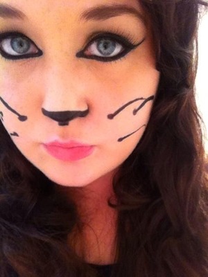 This is a simplified cat make-up look, as in its just the eyes nose and whiskers not full detail :3 