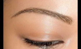 2 minute step by step brow tutorial (simplest and cheapest product used) video request