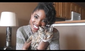 Meet My Cats | VEDO Day 30