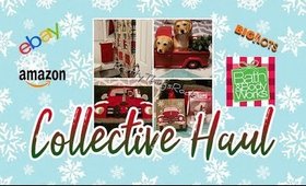 BigLots, Amazon, Ebay & More! |  Collective Haul | PrettyThingsRock