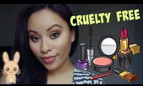 Cruelty Free Makeup Starter Kit | Affordable Options