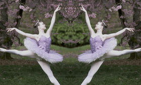 Ballerina Beauty