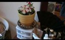 Tour de Vanity Room