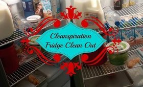 Cleanspiration - Fridge Clean Out