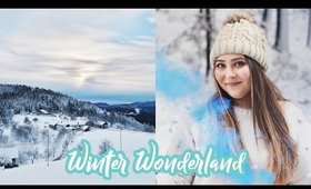 Real Winter Wonderland & New Year’s Eve in Slovenia
