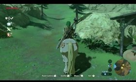 Girl plays Breath of the Wild ON VALENTINES DAY! BLIND STREAM. Part 41.2