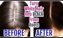 Turn White Hair Into Black From Roots| Grey Hair Hair Oil | SuperPrincessjo