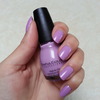 Perfect Lavender Color