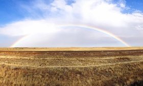 Girl finds shrines and does side wuests in BREATH of THE WILD blindstream Part 64