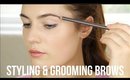 Styling & Grooming Brows