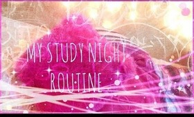 ❄ My Study Night Routine- December 2013 ❄