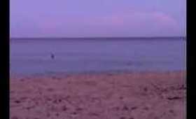 Vlog 53- swim