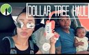 Dollar Tree Haul + QUICK Refrigerator Organization Ideas! | Love Rymingtahn