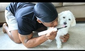 I USED YOUR TOOTHBRUSH ON THE DOG TEETH PRANK ON GIRLFRIEND!