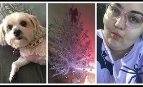 CHRISTMAS LIGHTS DISASTER & PENNY'S HAIR CUT | VLOGMAS 2016-WEEK 1