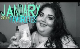 JANUARY 2014 FAVORITES | HD