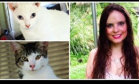 3 Ways Coconut Oil Can Be Helpful For Your Pets!