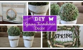 DIY BUDGET FRIENDLY Spring Farmhouse Decor | Collab With Heidi Sonboul