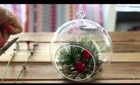 christmas terranium final